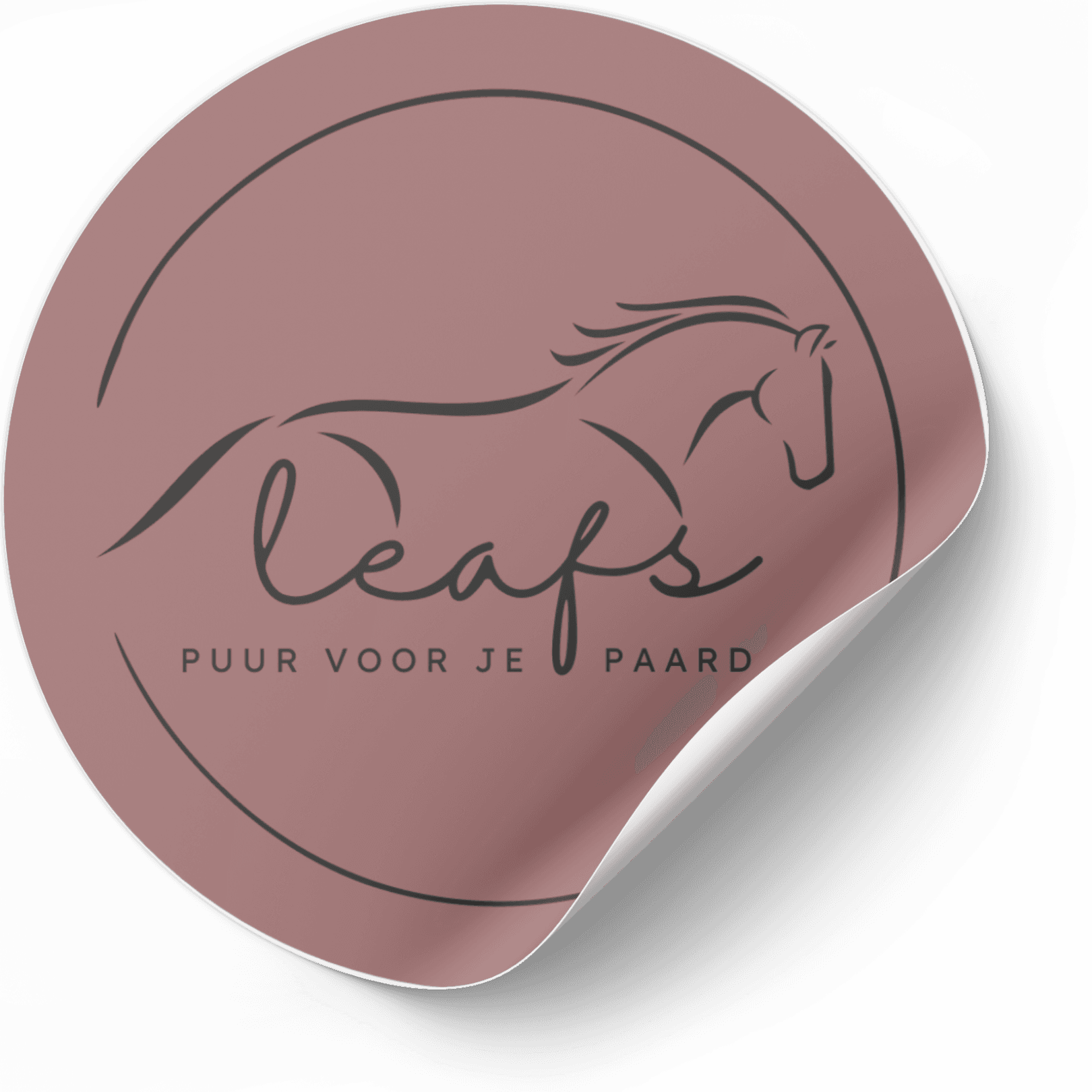 Picture of the author