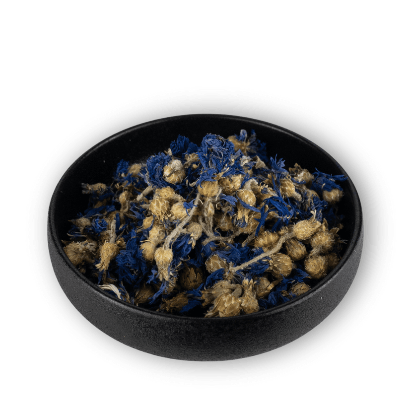 Picture of the author