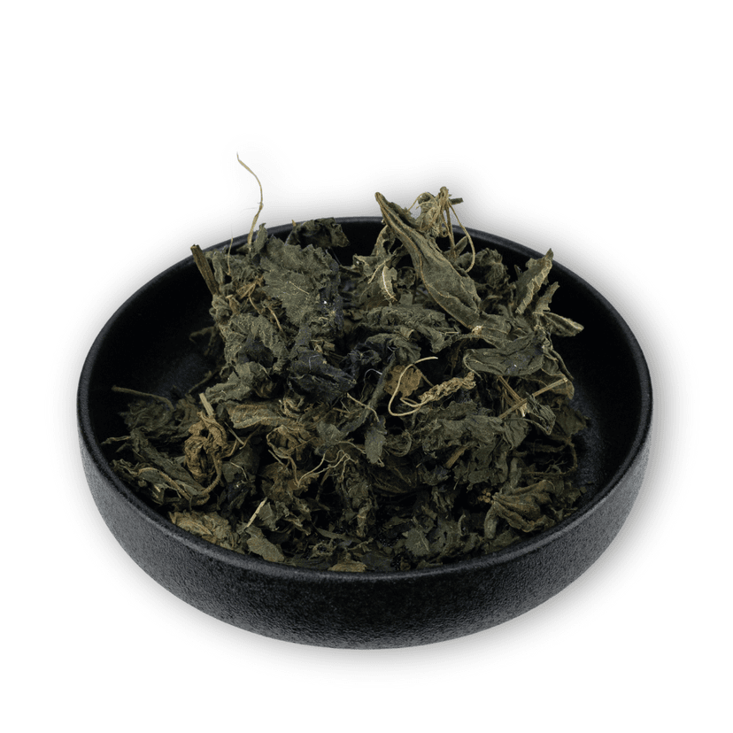 Picture of the author