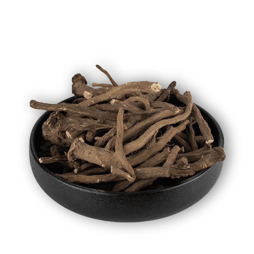 Picture of the author