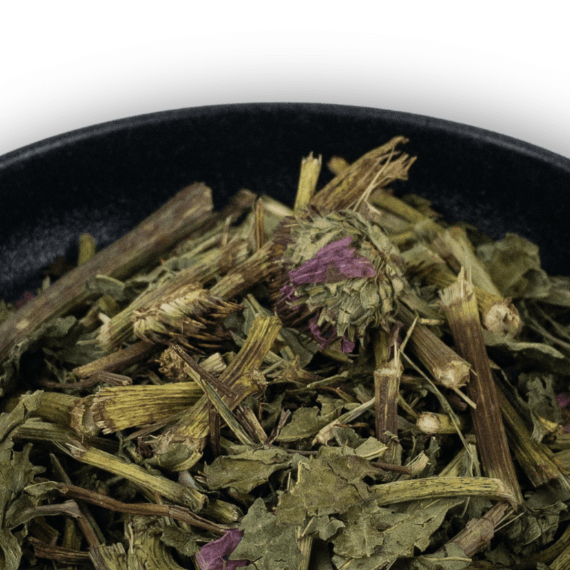 Picture of the author