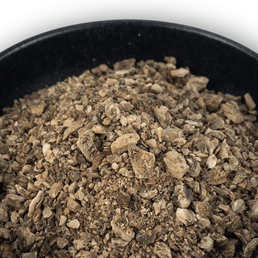 Picture of the author