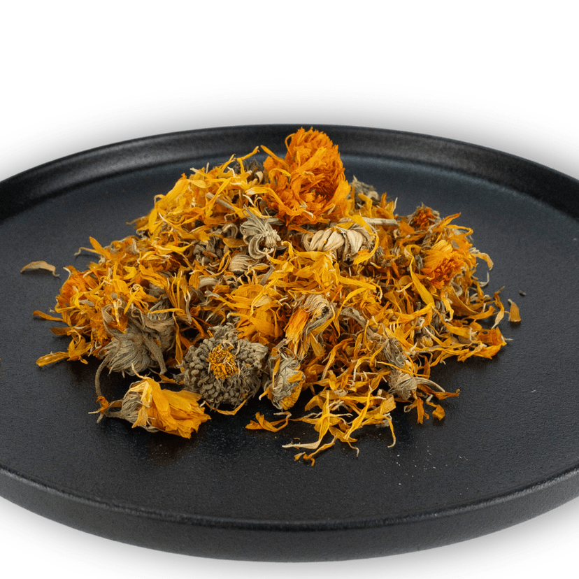 Picture of the author